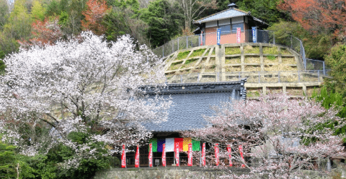 金剛院