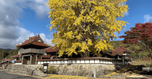 西教寺